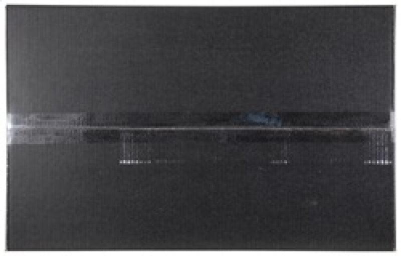 K&N Engineering K&N 2015 Ford Mustang GT 5.0L V8 Black Performance Intake Kit - BoltMotorsports