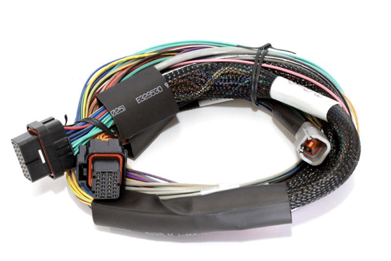 Haltech Elite 2500 8ft Basic Universal Wire-In Harness (Excl Relays or Fuses) - BOLT Motorsports