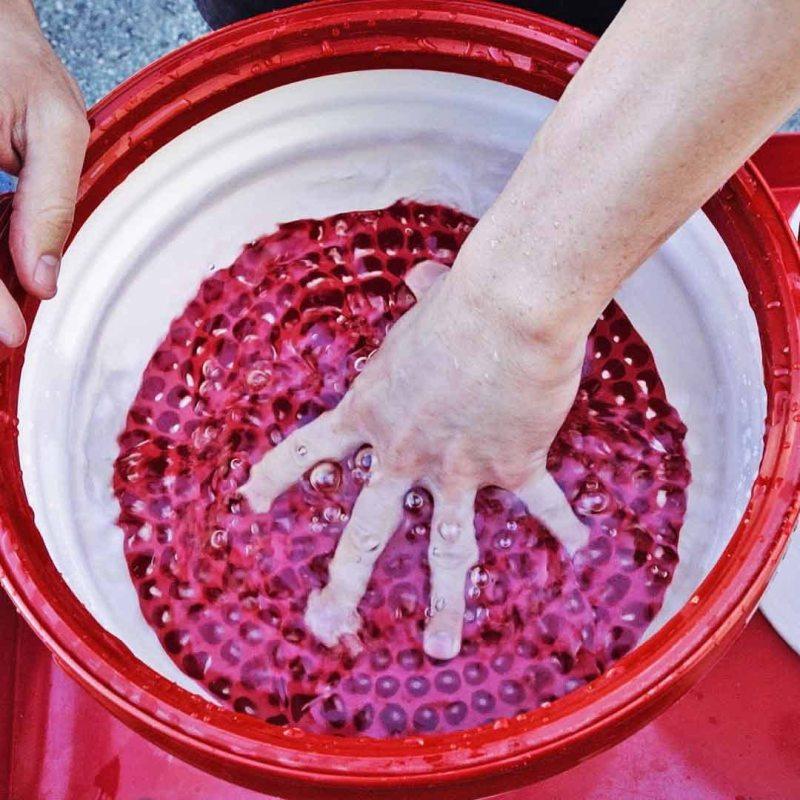 Chemical Guys Cyclone Dirt Trap Car Wash Bucket Insert - Red (Comes in Case of 12 Units) demo on BOLTMotorsports