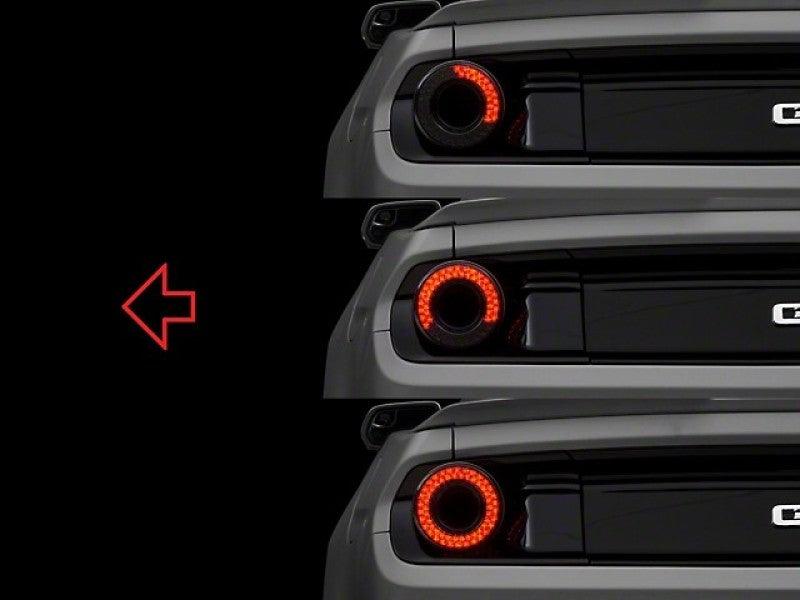 Raxiom 15-22 Ford Mustang Halo LED Tail Lights - Gloss Black Housing (Smoked Lens) - BOLT Motorsports